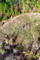 0000 Segno Fire Lane - Photo 2
