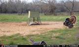 4909 Barton Chapel Road - Photo 18