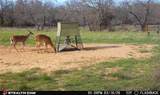 4909 Barton Chapel Road - Photo 19