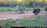4909 Barton Chapel Road - Photo 20