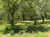 TBD 1-A Cr 167 Road - Photo 4