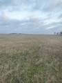 2834 St Hwy 81 - Photo 7