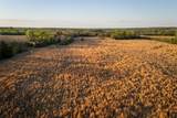 00 County Road 117 - Photo 10