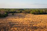 00 County Road 117 - Photo 11