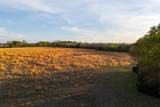00 County Road 117 - Photo 12