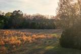 00 County Road 117 - Photo 13