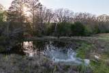 00 County Road 117 - Photo 15