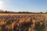 00 County Road 117 - Photo 16
