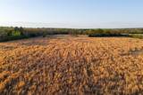 00 County Road 117 - Photo 17