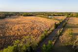 00 County Road 117 - Photo 22