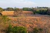 00 County Road 117 - Photo 3