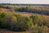 00 County Road 117 - Photo 5
