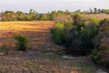 00 County Road 117 - Photo 8