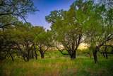 Lot 19 Firewheel - Photo 13