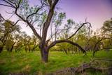 Lot 19 Firewheel - Photo 14