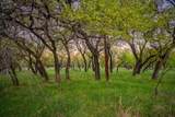 Lot 19 Firewheel - Photo 16