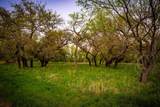 Lot 19 Firewheel - Photo 18