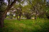 Lot 19 Firewheel - Photo 19