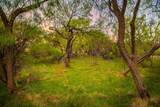 Lot 19 Firewheel - Photo 22