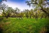 Lot 19 Firewheel - Photo 25