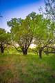 Lot 19 Firewheel - Photo 27
