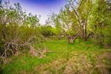 Lot 19 Firewheel - Photo 29