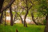 Lot 19 Firewheel - Photo 30