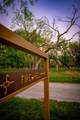 Lot 19 Firewheel - Photo 33