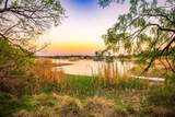 Lot 19 Firewheel - Photo 8