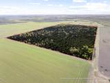 TBD County Road 3230 - Photo 12
