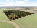 TBD County Road 3230 - Photo 19