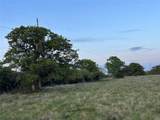 198 County Road 259 - Photo 15