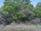 198 County Road 259 - Photo 19