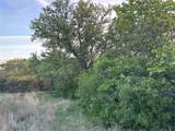 198 County Road 259 - Photo 21