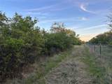 198 County Road 259 - Photo 23