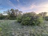 198 County Road 259 - Photo 28