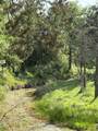 TBD Whitetail Springs Lane - Photo 1