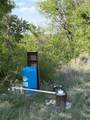 TBD Whitetail Springs Lane - Photo 15