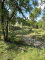 TBD Whitetail Springs Lane - Photo 4