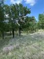 TBD Whitetail Springs Lane - Photo 5