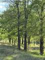 TBD Whitetail Springs Lane - Photo 7
