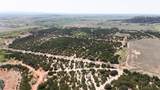 TBD County Rd 184 - Photo 5