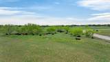 4901 Little Road - Photo 10