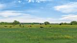 4901 Little Road - Photo 15