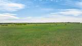 4901 Little Road - Photo 5