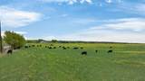 4901 Little Road - Photo 6