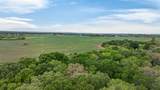 4901 Little Road - Photo 7