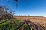 T B D County Road 260 - Photo 13