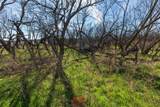 T B D County Road 260 - Photo 14