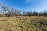 T B D County Road 260 - Photo 3